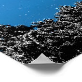 Poster Phare de Cape Henry la nuit (Coin)