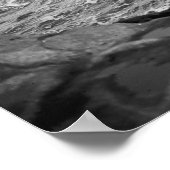 Poster Phare de Cape Neddick "Nubble" (Coin)