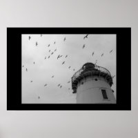 Phare de Cleveland et mouettes à bec