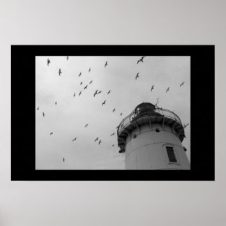 Poster Phare de Cleveland et mouettes à bec