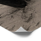 Poster Phare de Crisp Point (Coin)