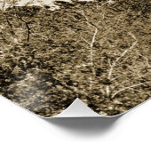 Poster Phare de Currituck (Coin)