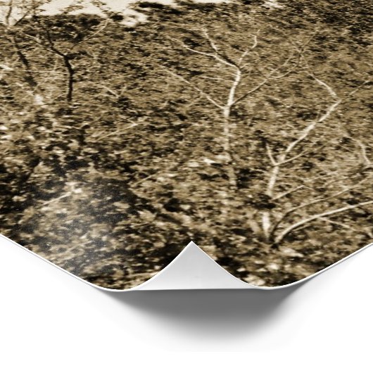 Poster Phare de Currituck (Coin)