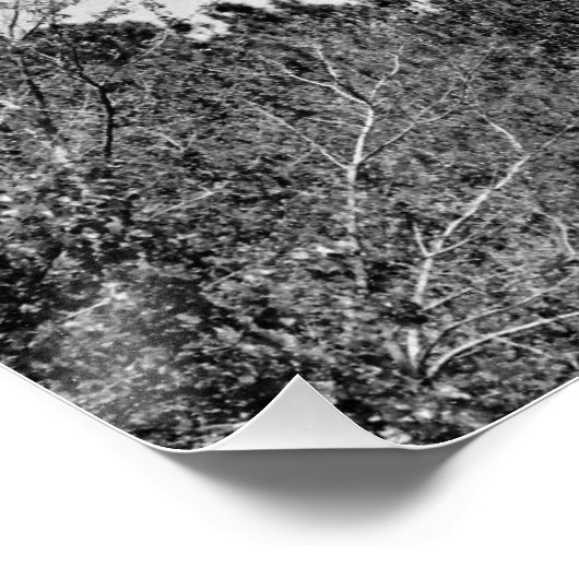 Poster Phare de Currituck (Coin)