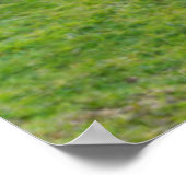 Poster Phare de Fanad Head | Donegal, Irlande (Coin)