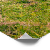 Poster Phare de Fanad Head | Donegal, Irlande (Coin)