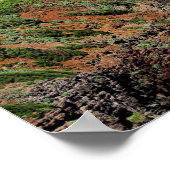Poster Phare de Kilauea sur Kauai (Coin)