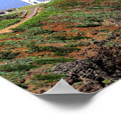 Poster Phare de Kilauea sur Kauai (Coin)