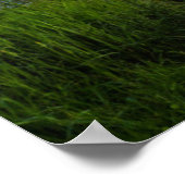 Poster Phare de Marshall Point au coucher du soleil (Coin)