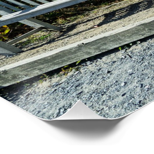 Poster Phare de Nauset Beach à Cape Cod (Coin)