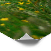 Poster Phare de North Head (Coin)