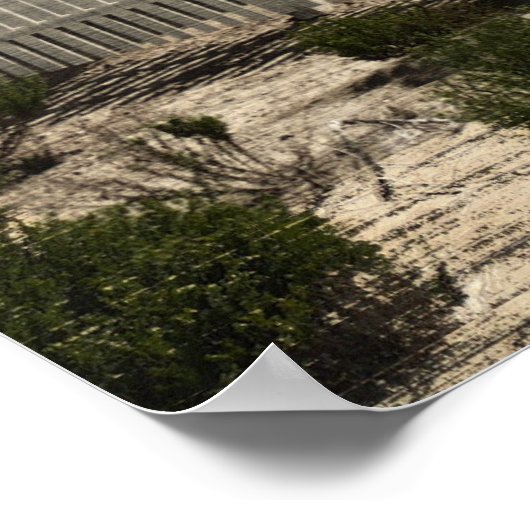 Poster Phare de Old Point Loma (Coin)