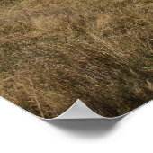 Poster Phare de Owl's Head, Maine (Coin)