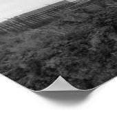 Poster Phare de Pigeon Point (Coin)