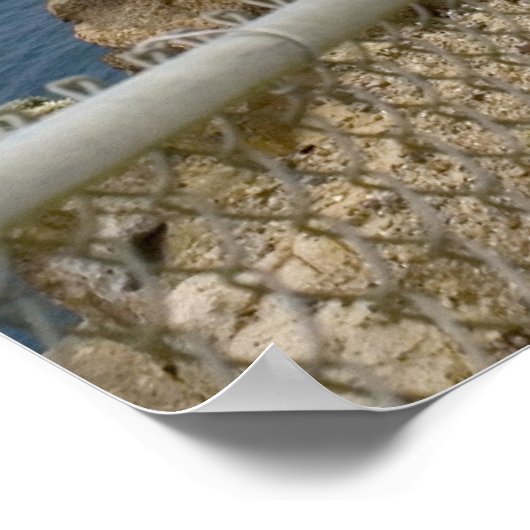 Poster Phare de Point Reyes (Coin)