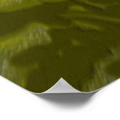 Poster Phare de Point Reyes (Coin)