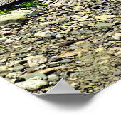 Poster Phare de Scituate (Coin)