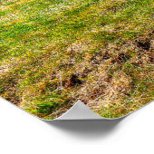 Poster Phare de Skarsviti, Islande (Coin)