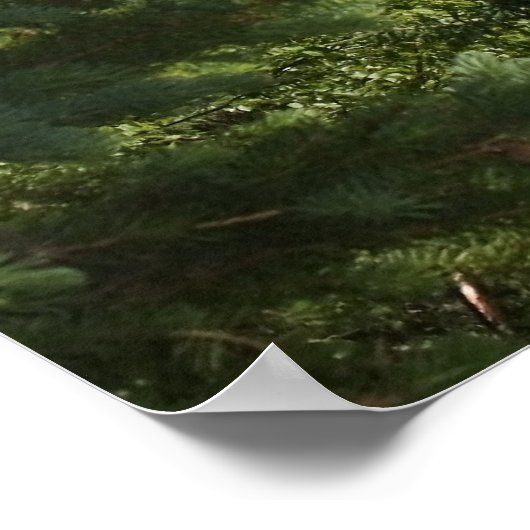 Poster Phare de Split Rock (Coin)