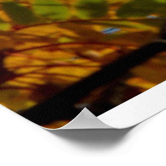 Poster Phare de Split Rock en automne (Coin)