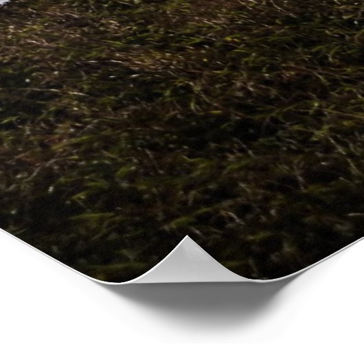 Poster Phare de Yaquina Bleu (Coin)