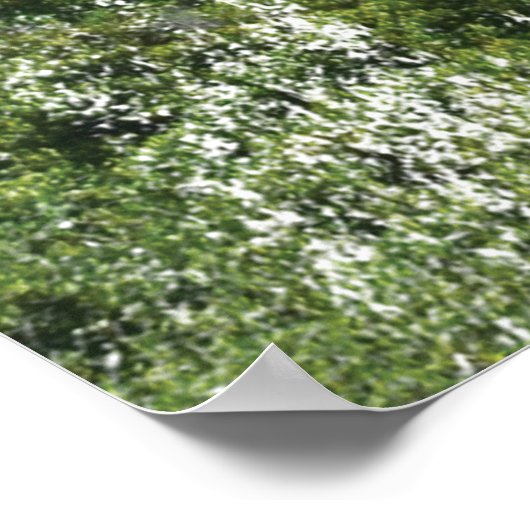 Poster Phare du Cap Agulhas 1849 (Coin)