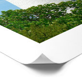 Poster Phare du Cap Florida (Coin)