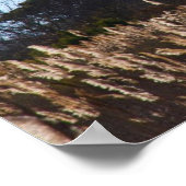 Poster Phare du Cap May (Coin)