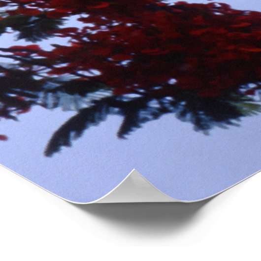 Poster Phare Key West (Coin)