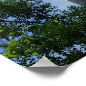 Poster Phare Saint Augustine (Coin)