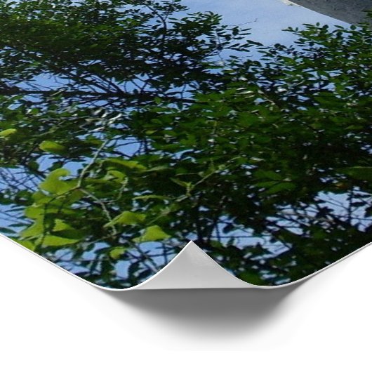 Poster Phare Saint Augustine (Coin)