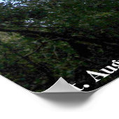 Poster Phare Saint Augustine (Coin)