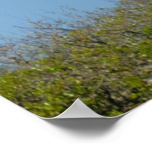 Poster Phare St Augustine (Coin)