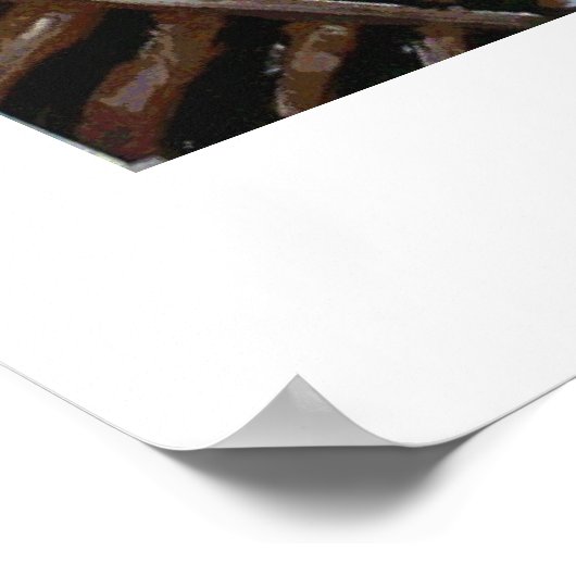 Poster Phare Starry Night (Coin)