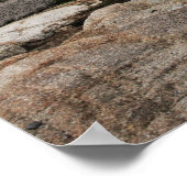 Poster phare sur peggy's cove (Coin)