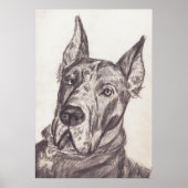 Poster pharoah sk3 str (Devant)