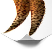 Poster Phéasage d'or (Coin)