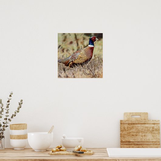 Poster Pheasant (Cuisine)