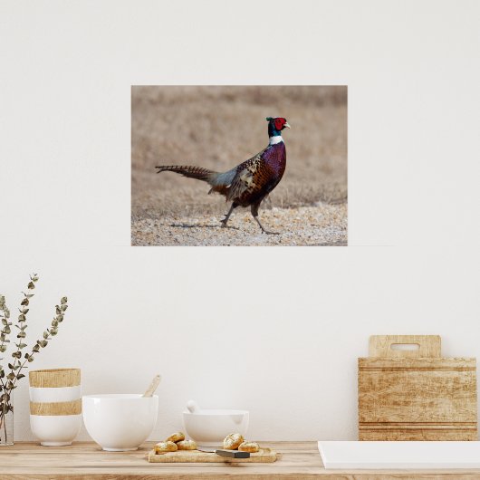 Poster Pheasant à crayon (Cuisine)