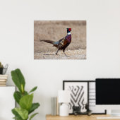 Poster Pheasant à crayon (Bureau à domicile)