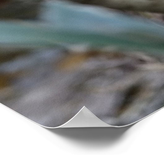 Poster Pheasant doré rouge (Coin)