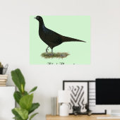 Poster Pheasant noir Hen (Bureau à domicile)