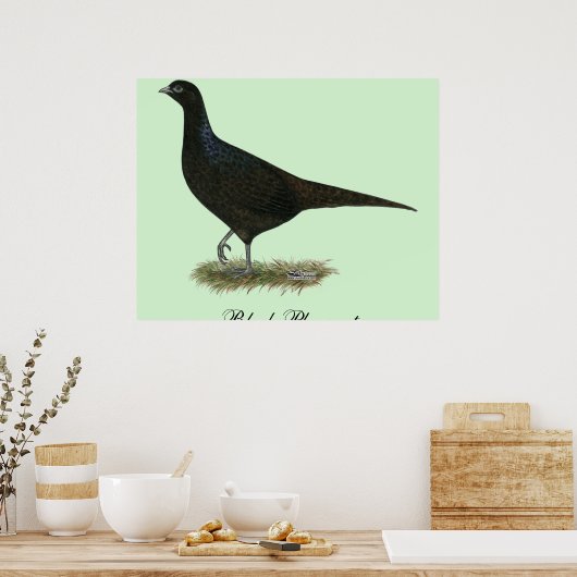 Poster Pheasant noir Hen (Cuisine)
