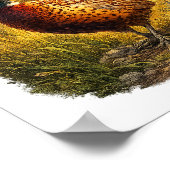 Poster Pheasant Sunset Hunting Bird Wildlife Gift (Coin)