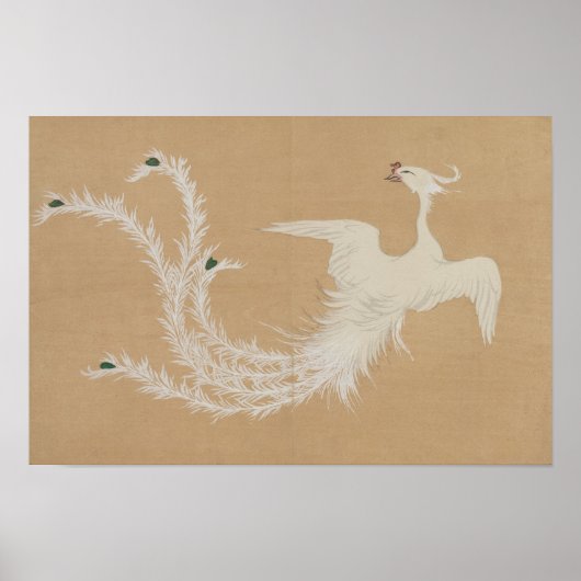 Poster Phénix Blanc  (Devant)