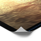 Poster Phénomène (Coin)