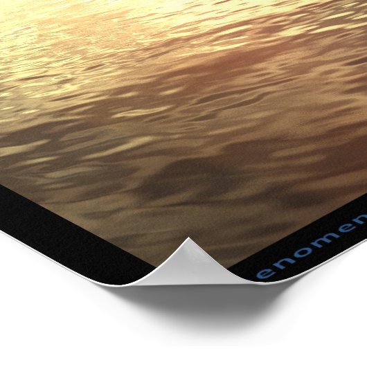 Poster Phénomène (Coin)