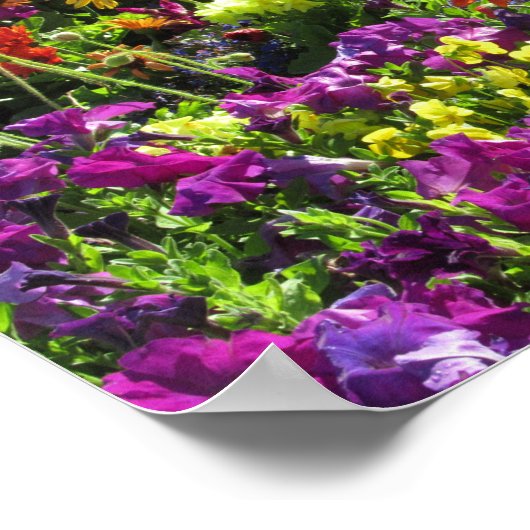 POSTER PHILIPPIENS 4:13 SCRIPTURE VERSE (Coin)