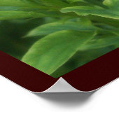 Poster Philippiens 4:8 (Coin)