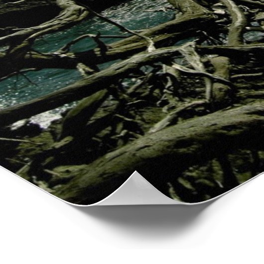 Poster Philippiens 4:8 (Coin)